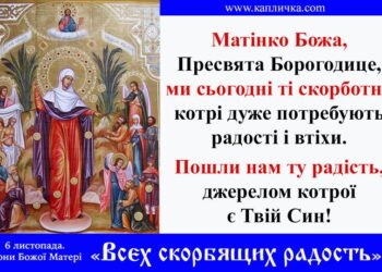 6 листопада шануємо ікону Божої Матері «Всех скорбящих радость».