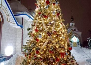Ялинка в Капличці – перша в Ковелі!